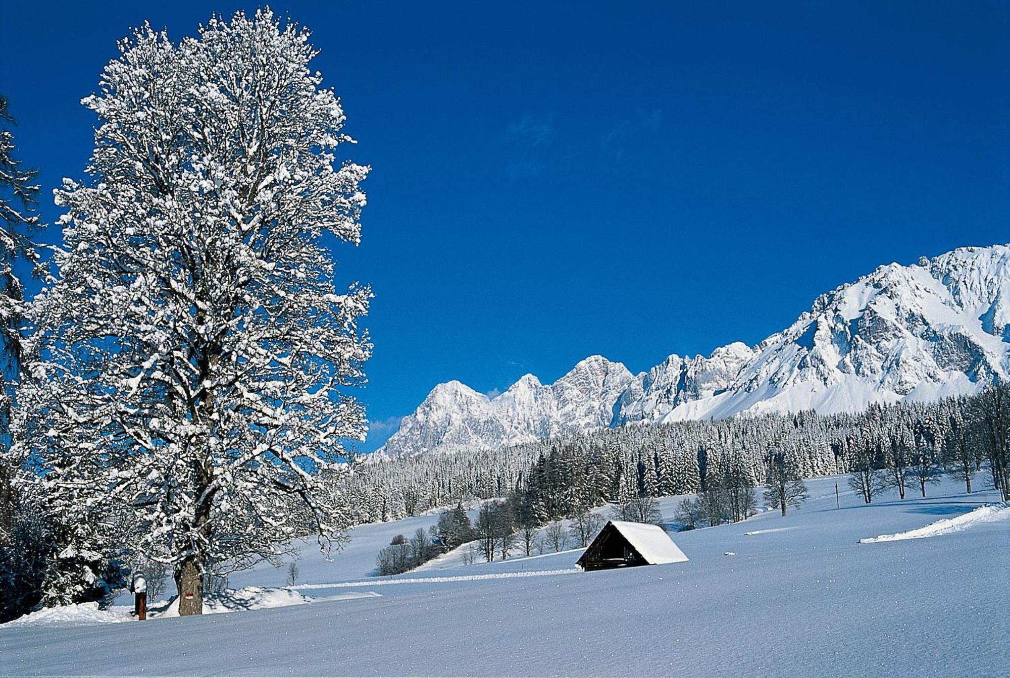 Hotel Matschner Ramsau am Dachstein Eksteriør bilde